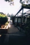 picture_    2
